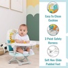 Dream On Me Munch N Go Booster Seat for Babies 6–36 Months, 3-in-1 Feeding, Floor & Table Seat, Adjustable 4 Heights, Lightweight Portable Design, 3-Point Safety Harness, Easy to Fold & Carry- Mint(Mint)