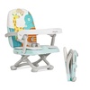 Dream On Me Munch N Go Booster Seat for Babies 6–36 Months, 3-in-1 Feeding, Floor & Table Seat, Adjustable 4 Heights, Lightweight Portable Design, 3-Point Safety Harness, Easy to Fold & Carry- Mint(Mint)